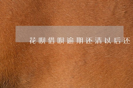 花呗借呗逾期还清以后还会开通吗 花呗借呗逾期还清以后还会开通吗