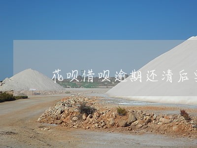 花呗借呗逾期还清后要求全部还款 花呗借呗逾期还清后要求全部还款