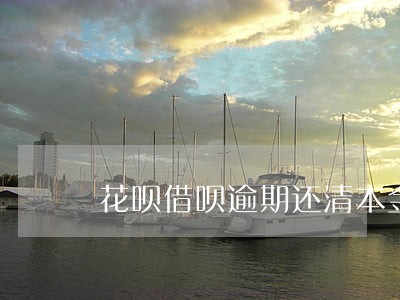 花呗借呗逾期还清本金 花呗借呗逾期还清本金