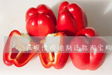 花呗借呗逾期还能淘宝购物吗 花呗借呗逾期还能淘宝购物吗