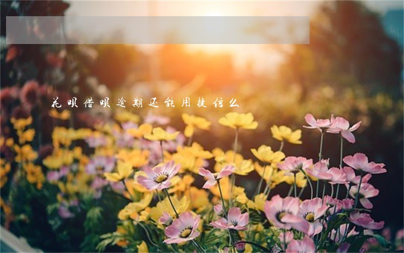 花呗借呗逾期还能用捷信么 花呗借呗逾期还能用捷信么