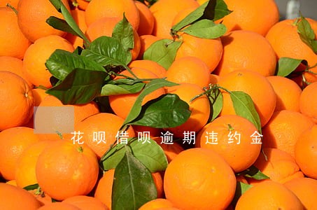 花呗借呗逾期违约金 花呗借呗逾期违约金