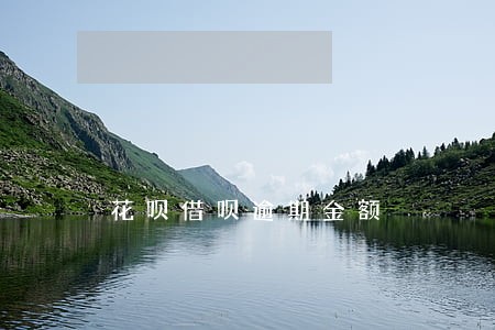 花呗借呗逾期金额 花呗借呗逾期金额