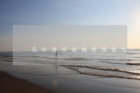花呗借呗逾期银雁催收 花呗借呗逾期银雁催收