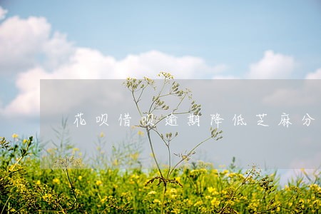 花呗借呗逾期降低芝麻分