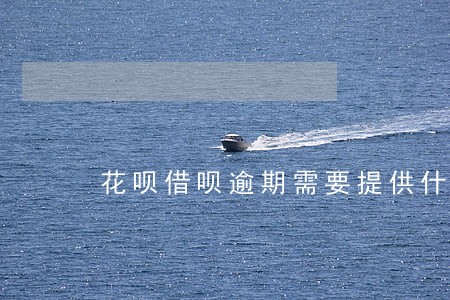 花呗借呗逾期需要提供什么证明 花呗借呗逾期需要提供什么证明
