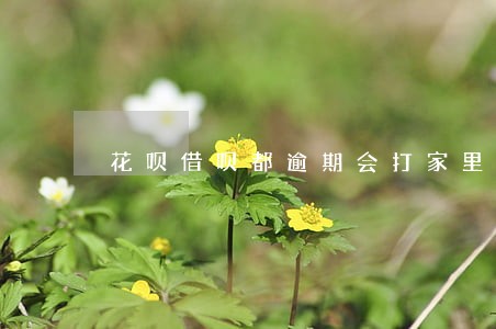 花呗借呗都逾期会打家里人电话吗 花呗借呗都逾期会打家里人电话吗