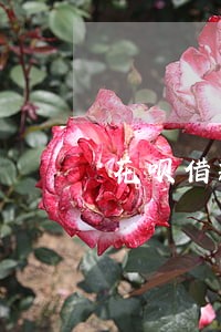 花呗借款1500逾期利息怎样算 花呗借款1500逾期利息怎样算