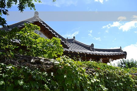 花呗借款20元逾期怎么样 花呗借款20元逾期怎么样