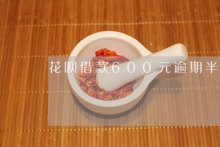 花呗借款600元逾期半年 花呗借款600元逾期半年