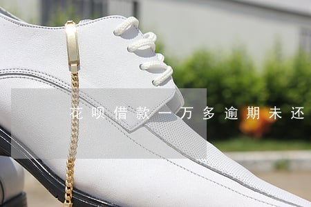 花呗借款一万多逾期未还 花呗借款一万多逾期未还