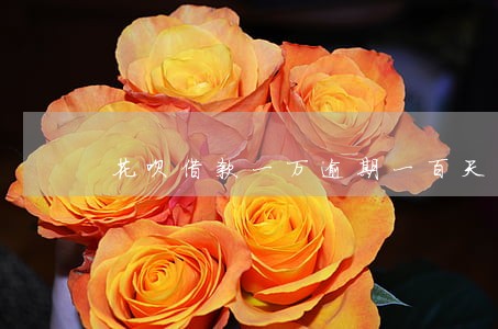 花呗借款一万逾期一百天 花呗借款一万逾期一百天