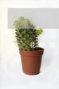 花呗借款五万逾期利息会产生多少 花呗借款五万逾期利息会产生多少