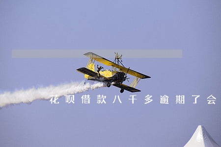 花呗借款八千多逾期了会被执行吗 花呗借款八千多逾期了会被执行吗