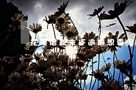 花呗借款未还逾期想要终止利息