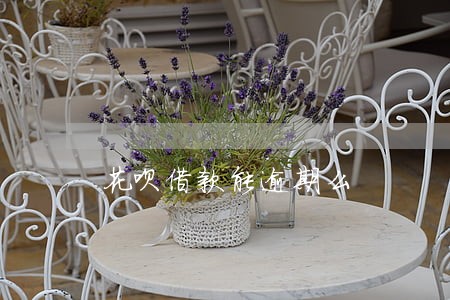 花呗借款能逾期么 花呗借款能逾期么