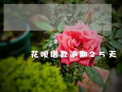 花呗借款逾期25天 花呗借款逾期25天