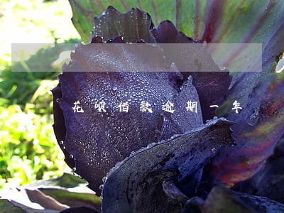 花呗借款逾期一年 花呗借款逾期一年