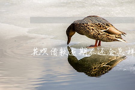 花呗借款逾期不还会怎样 花呗借款逾期不还会怎样