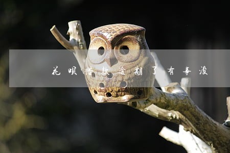 花呗借款逾期了有事没 花呗借款逾期了有事没