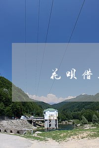 花呗借款逾期利息的算法 花呗借款逾期利息的算法