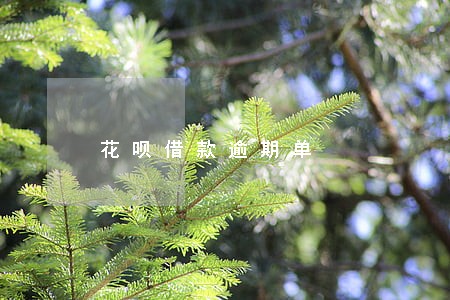 花呗借款逾期单