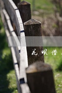 花呗借款逾期怎么算利息的 花呗借款逾期怎么算利息的
