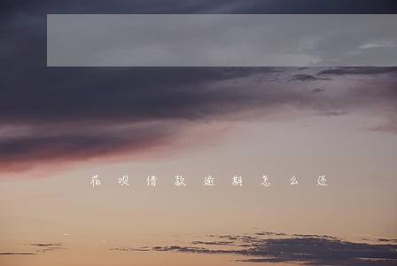 花呗借款逾期怎么还 花呗借款逾期怎么还