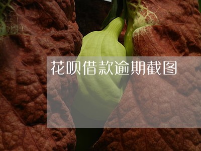 花呗借款逾期截图 花呗借款逾期截图