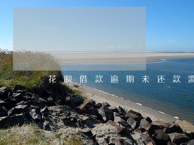 花呗借款逾期未还款需要什么条件 花呗借款逾期未还款需要什么条件