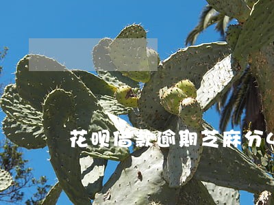 花呗借款逾期芝麻分431 花呗借款逾期芝麻分431