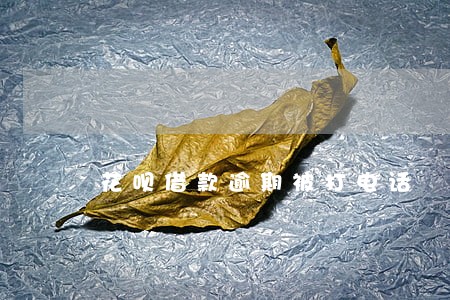 花呗借款逾期被打电话 花呗借款逾期被打电话