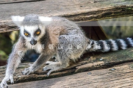 花呗借钱没逾期征信 花呗借钱没逾期征信