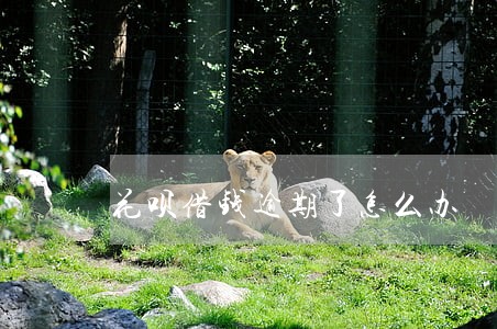 花呗借钱逾期了怎么办 花呗借钱逾期了怎么办