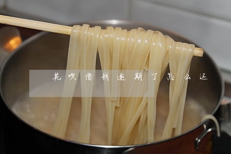 花呗借钱逾期了怎么还