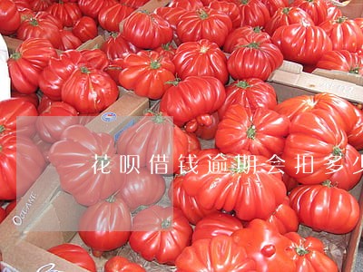 花呗借钱逾期会扣多少 花呗借钱逾期会扣多少