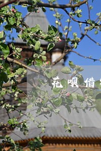 花呗借钱逾期利息是多少 花呗借钱逾期利息是多少