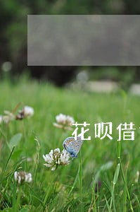 花呗借钱逾期是多久 花呗借钱逾期是多久