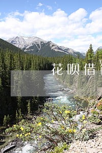 花呗借钱逾期没有还款会怎