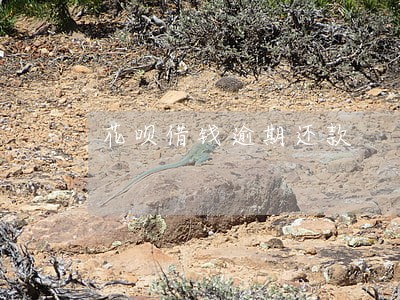 花呗借钱逾期还款 花呗借钱逾期还款