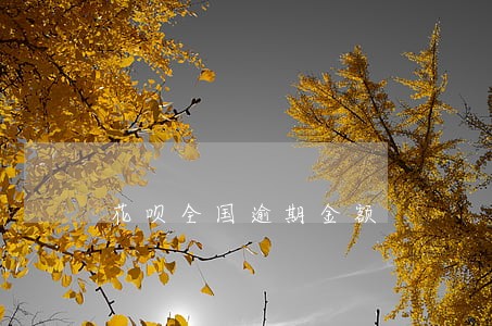 花呗全国逾期金额 花呗全国逾期金额