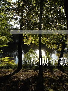 花呗全款逾期一年 花呗全款逾期一年