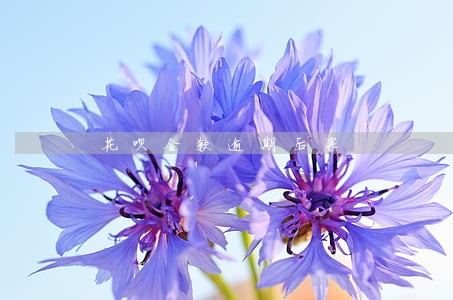 花呗全款逾期后果 花呗全款逾期后果