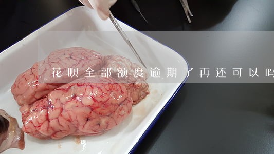 花呗全部额度逾期了再还可以吗 花呗全部额度逾期了再还可以吗
