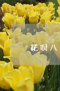 花呗八百逾期一年 花呗八百逾期一年