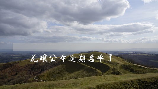 花呗公布逾期名单了 花呗公布逾期名单了