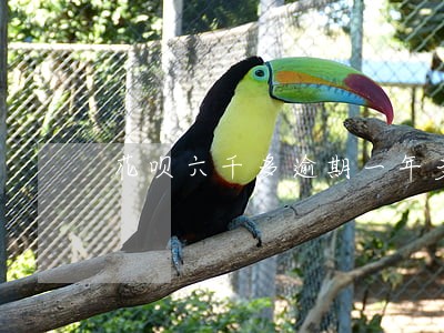 花呗六千多逾期一年多 花呗六千多逾期一年多
