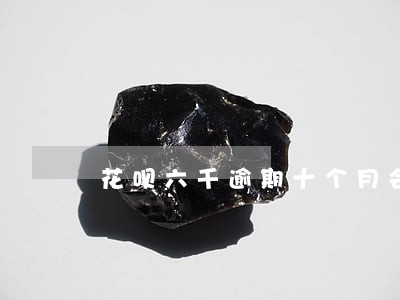 花呗六千逾期十个月会上征信吗 花呗六千逾期十个月会上征信吗