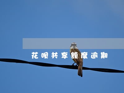 花呗共享额度逾期 花呗共享额度逾期