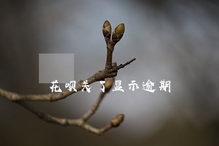 花呗关了显示逾期 花呗关了显示逾期